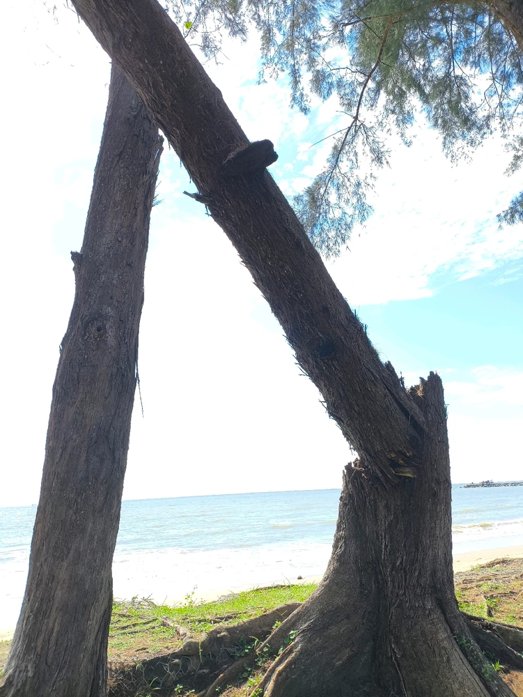 Gambar diunggah dening Arkanos