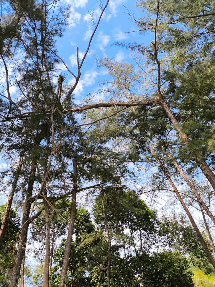 Gambar diunggah dening Arkanos