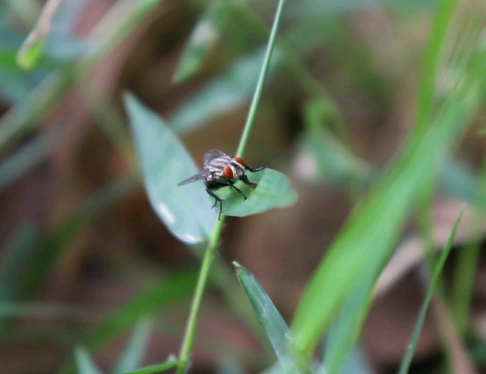 Sharan അപ്‌ലോഡ് ചെയ്ത GIF