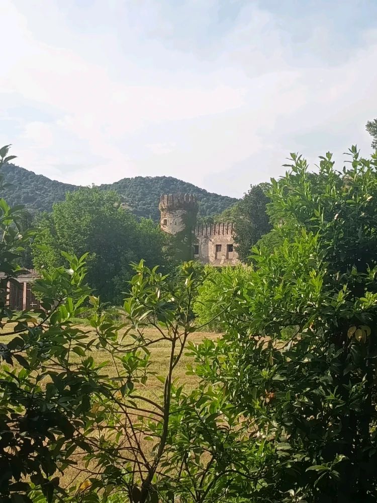 Immagine caricata da Massimo