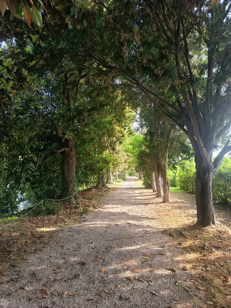 Immagine caricata da Massimo