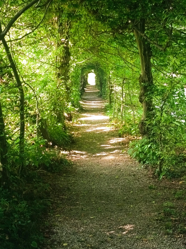 Immagine caricata da Massimo