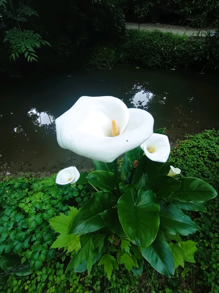 Immagine caricata da Massimo