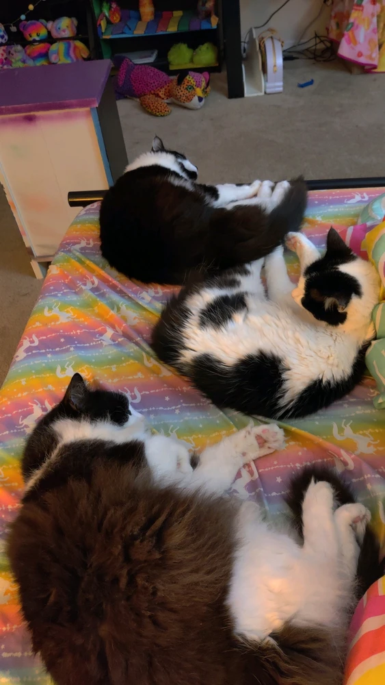 GIF uploaded by Lexi