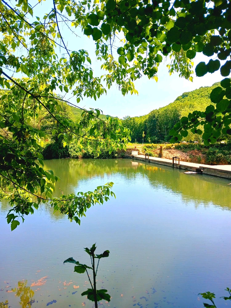 Nursu tarafından yüklenen GIF