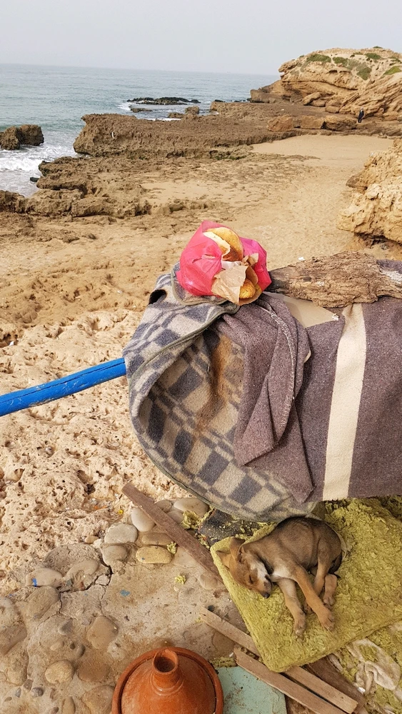 GIF hochgeladen von Ersin