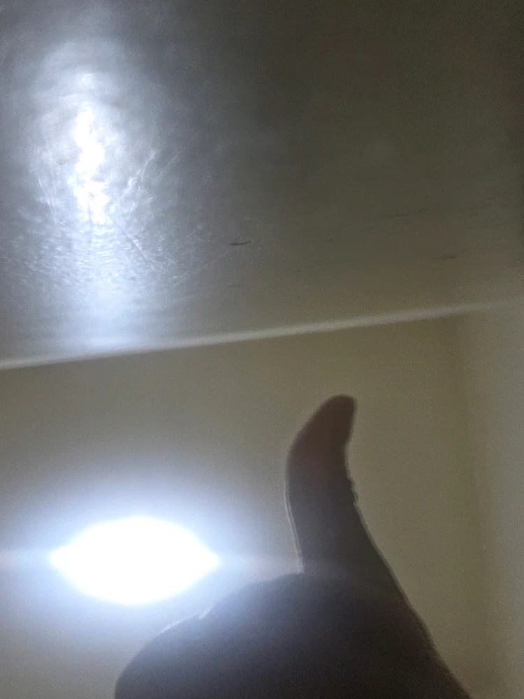 GIF subido por TopoyiyoSC