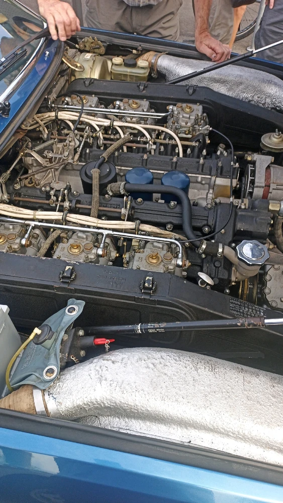 Bild hochgeladen von Jimmy Dias