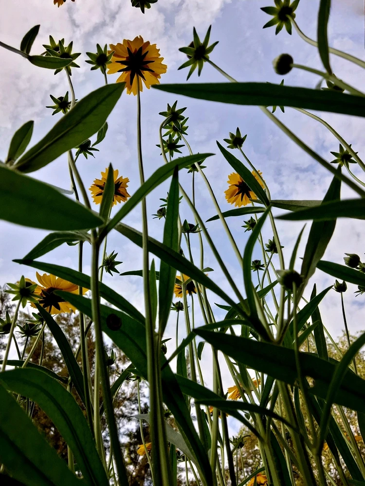Гіфку завантажив Юлія