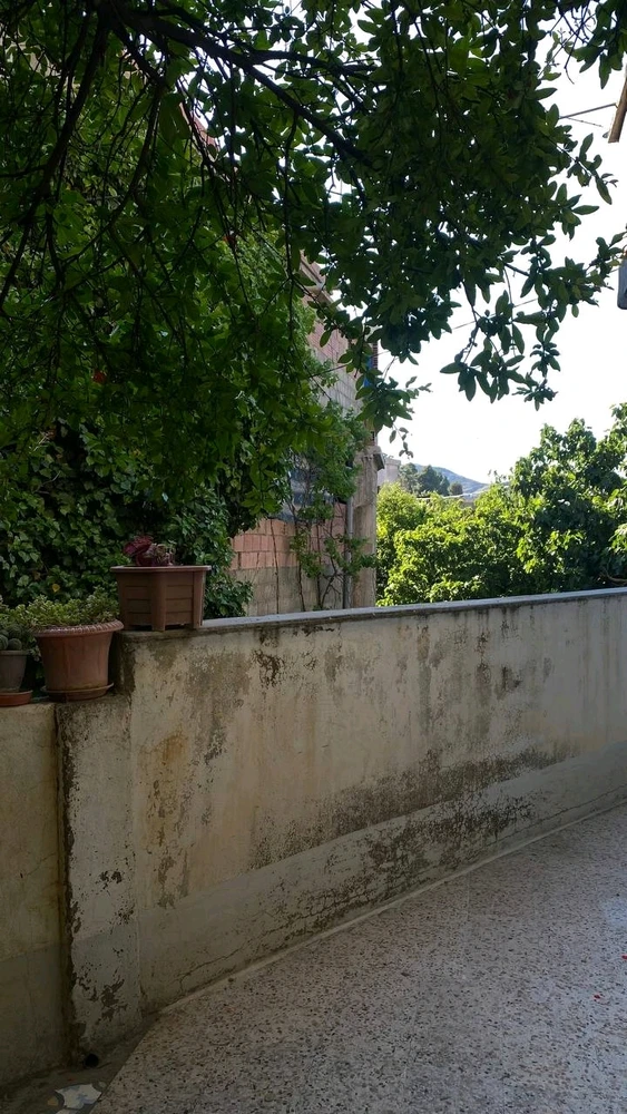 Image uploaded by Aya