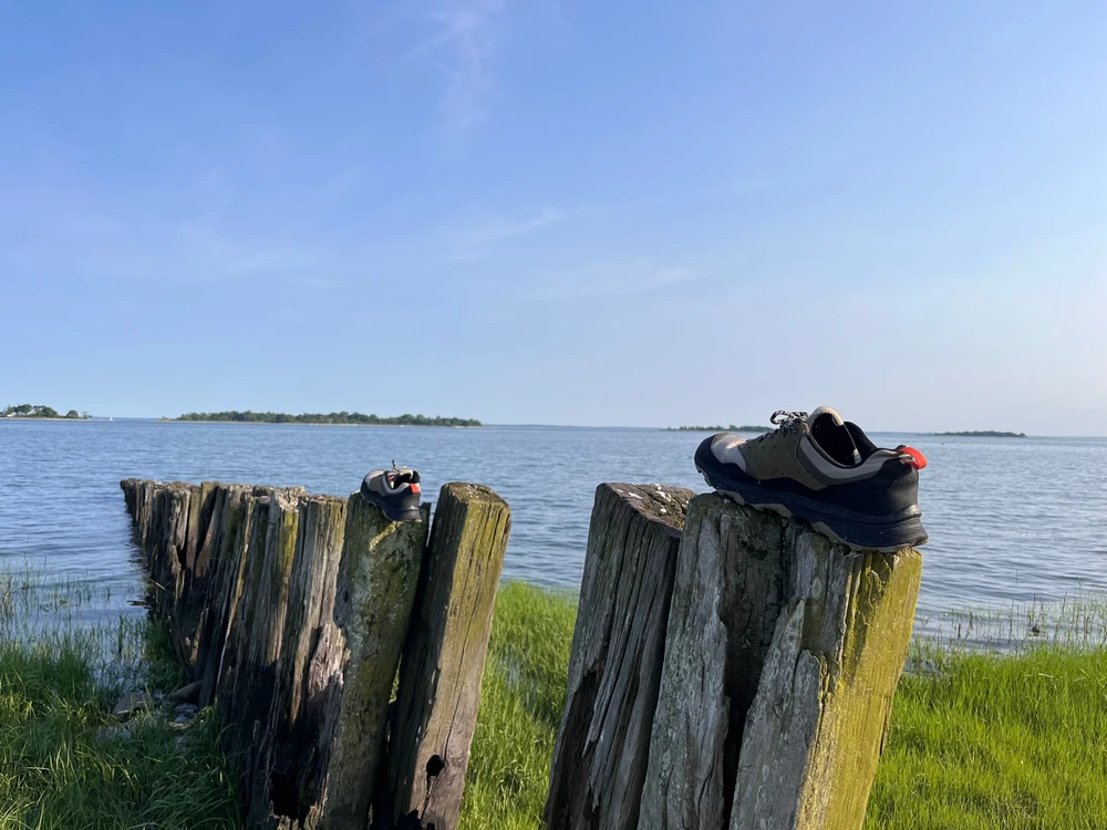 GIF uploaded by Asger