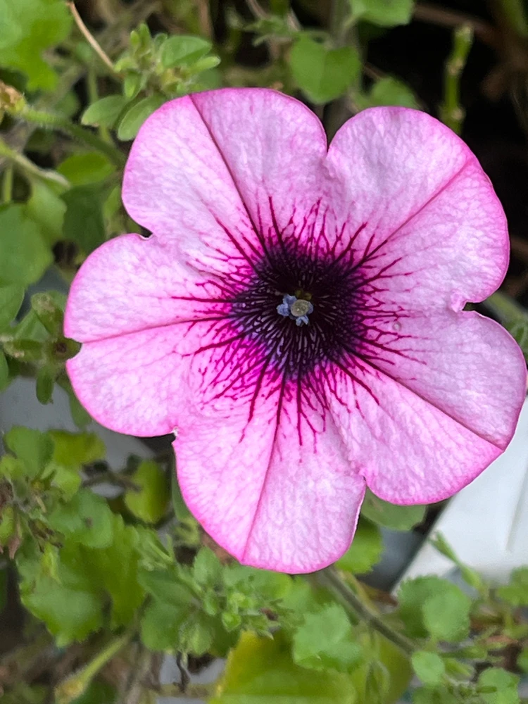 GIF uploaded by Wendell