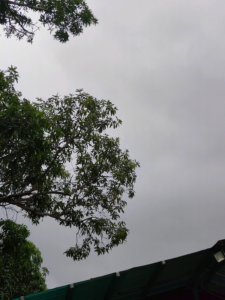GIF uploaded by Gab