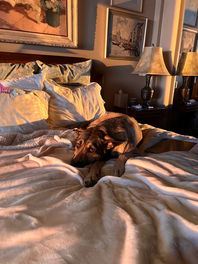 Image uploaded by Nico