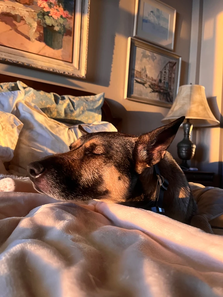 Image uploaded by Nico