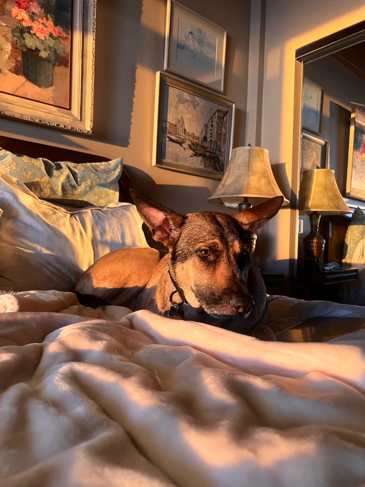 Image uploaded by Nico