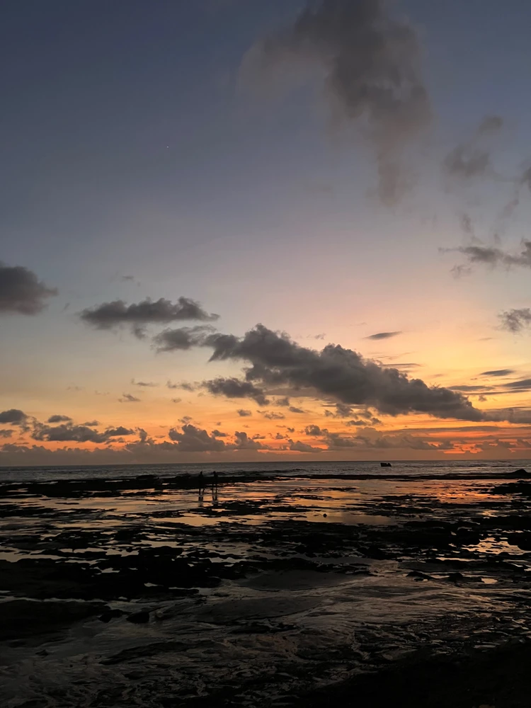 Image uploaded by tami