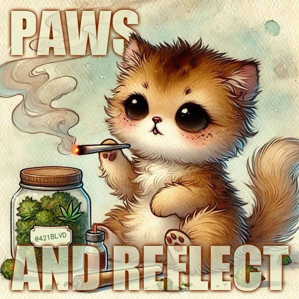 GIF uploaded by • A{eye} • M € € •