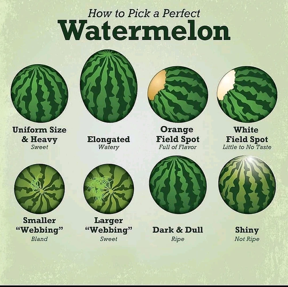 GIF uploaded by Robert