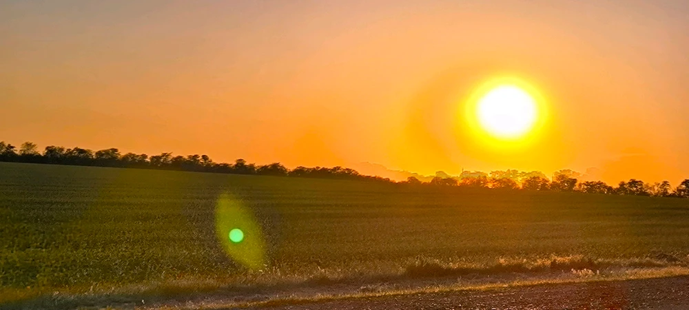 Фото загрузил Vladimir