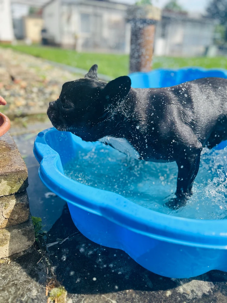 Bild hochgeladen von Sascha