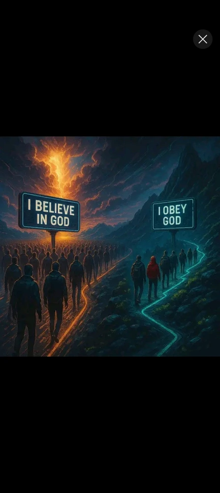 GIF uploaded by Moana