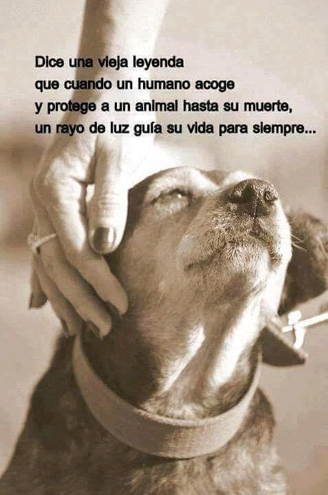 GIF subido por PatriG80