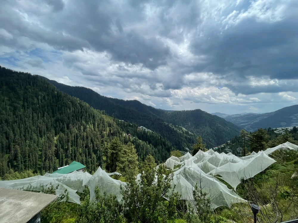 Image uploaded by Manas