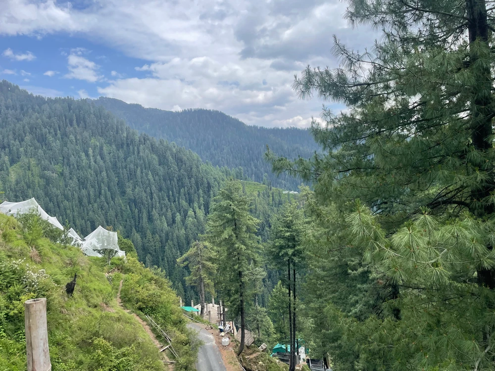 Image uploaded by Manas