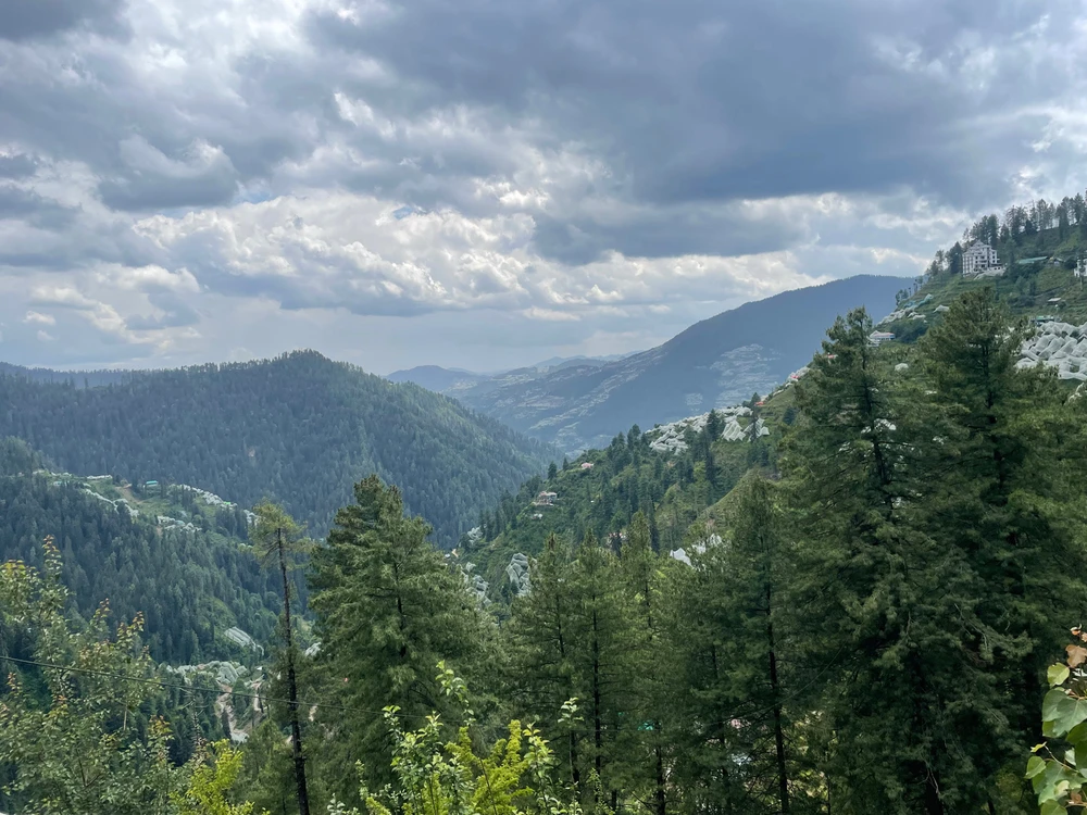 Image uploaded by Manas