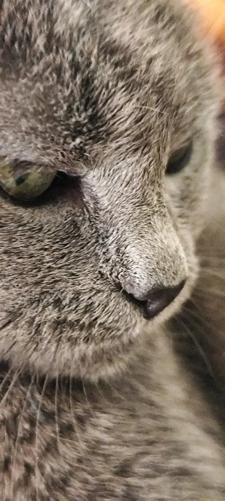 Immagine caricata da Nanaki