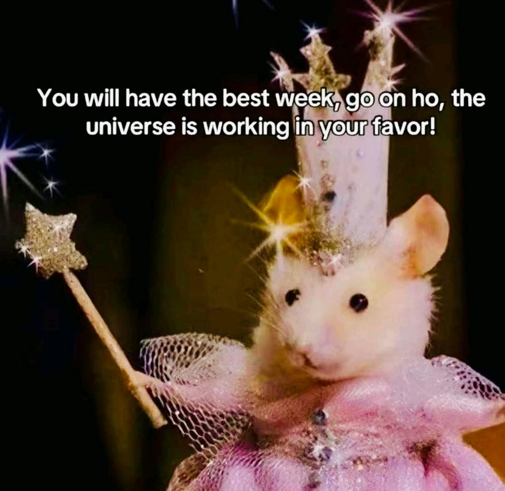 GIF uploaded by πβDani