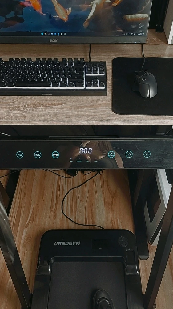 bieżnia + biurko regulowane = 🤩