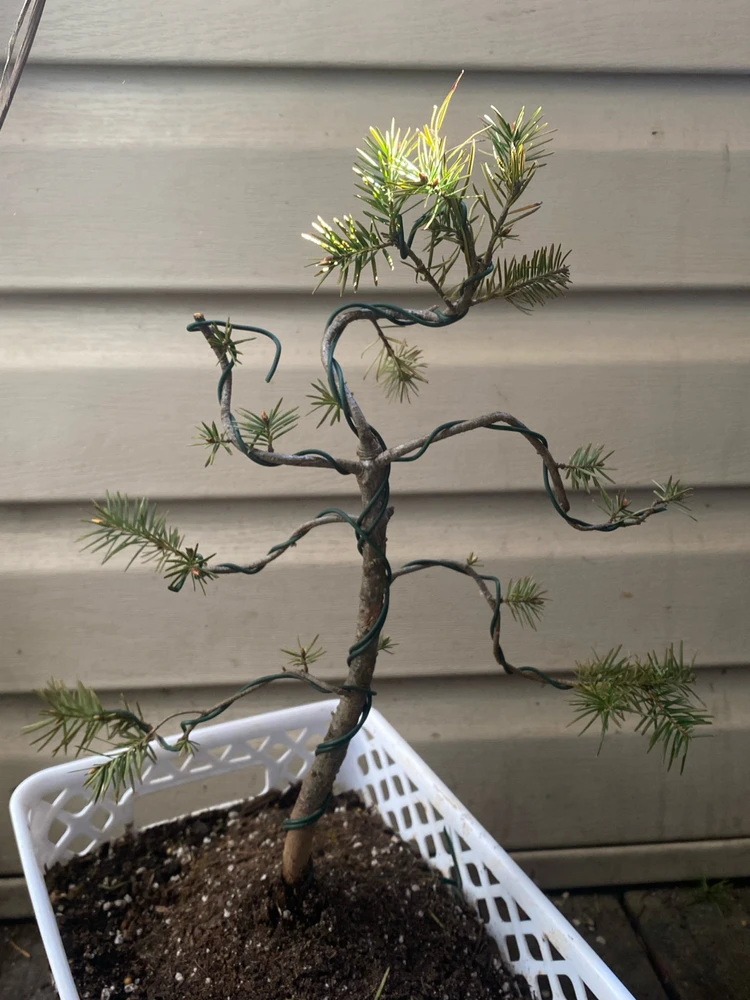 GIF uploaded by Isaiah