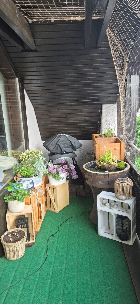 Bild hochgeladen von 𝕾𝖆𝖇𝖚