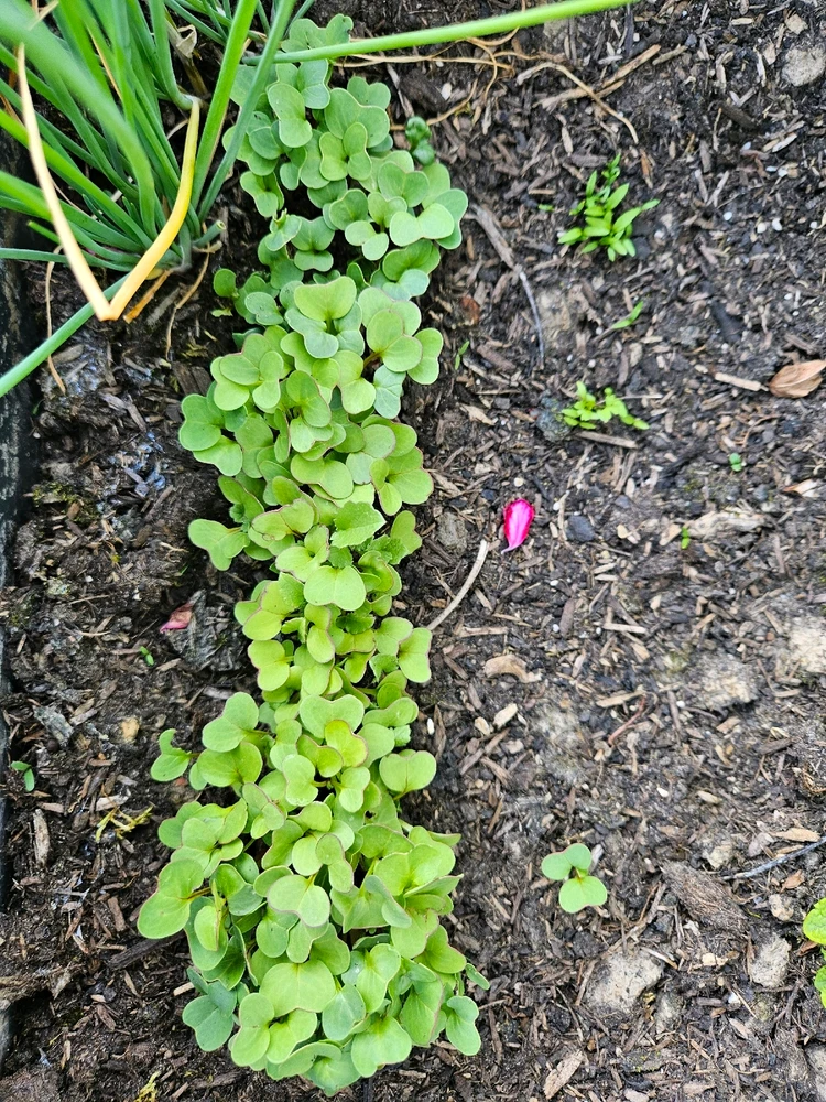 Image ajoutée par Méghane