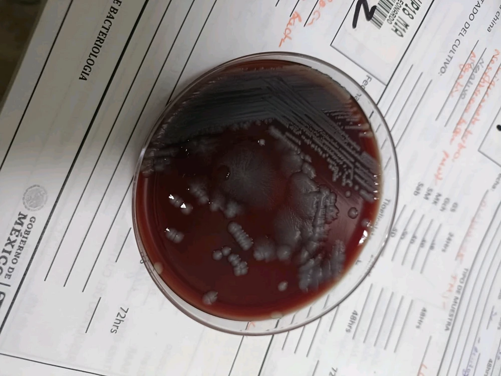 GIF subido por Javier