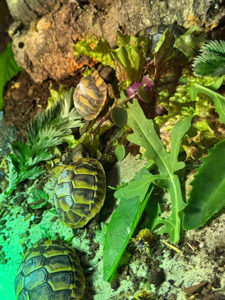 GIF hochgeladen von Angi