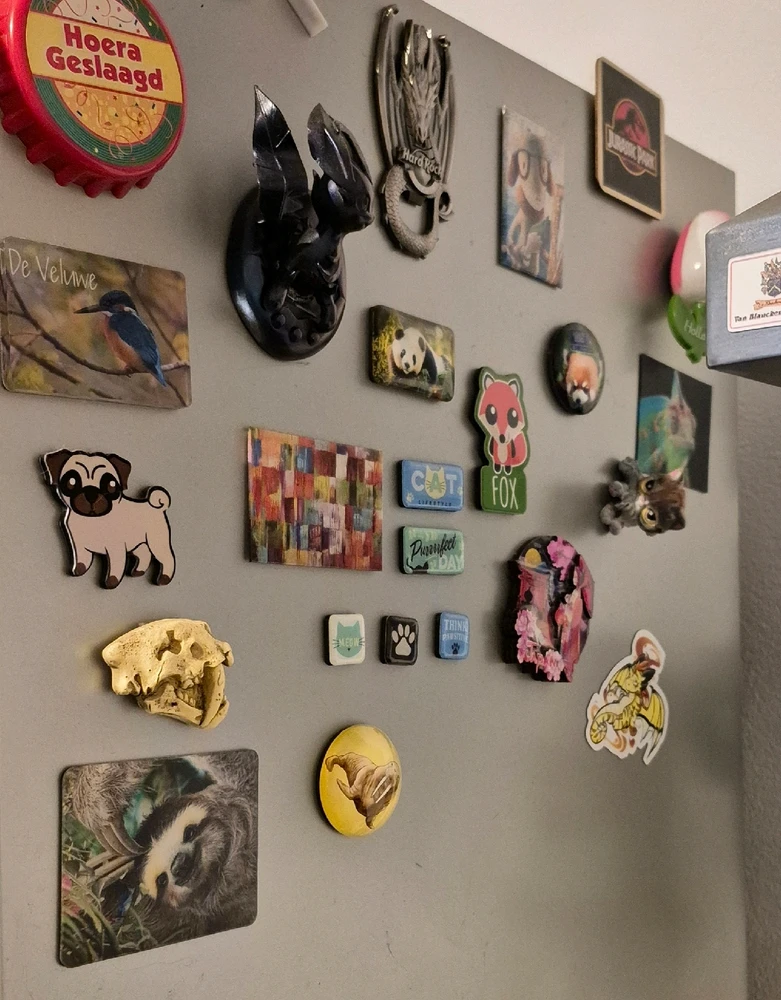 Afbeelding geüpload door Shirley