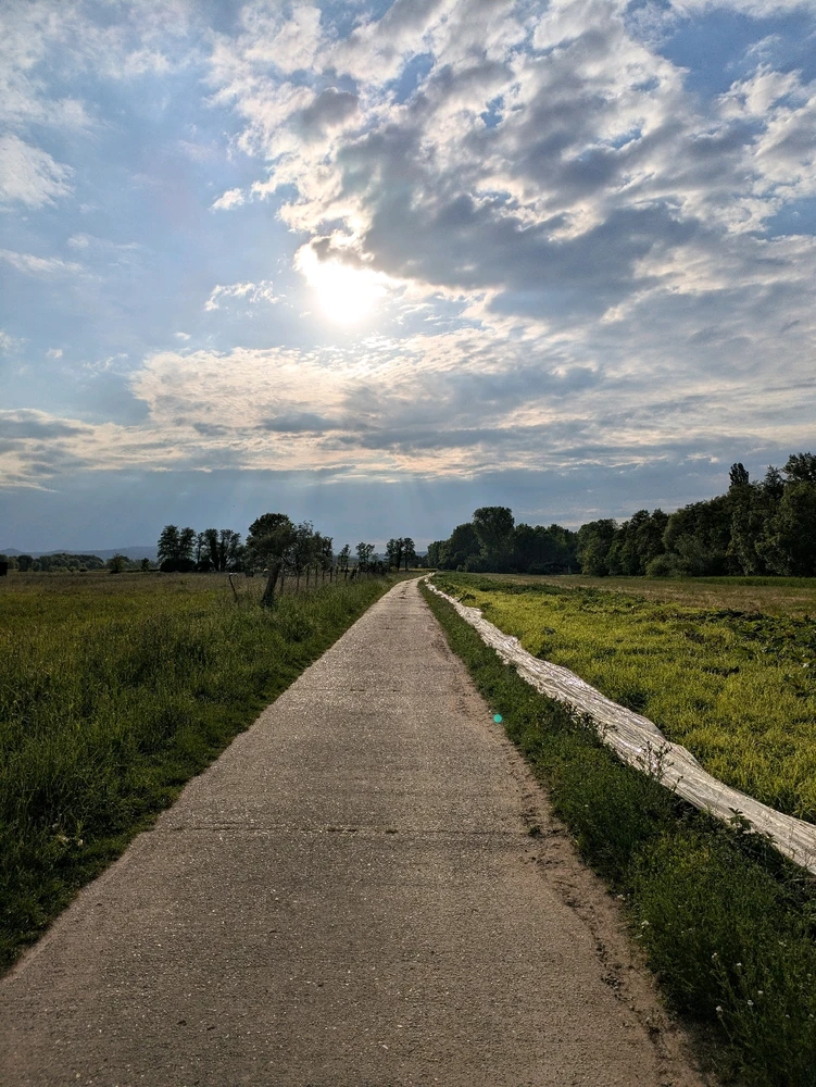 GIF hochgeladen von Ⓜ️🅰️NuEl