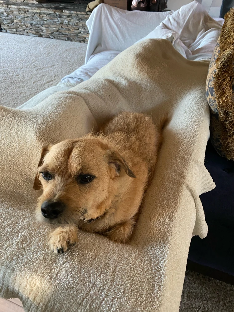 Image uploaded by Nico