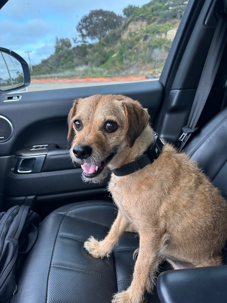 Image uploaded by Nico