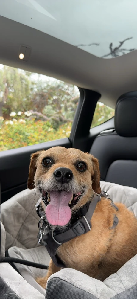 Image uploaded by Nico