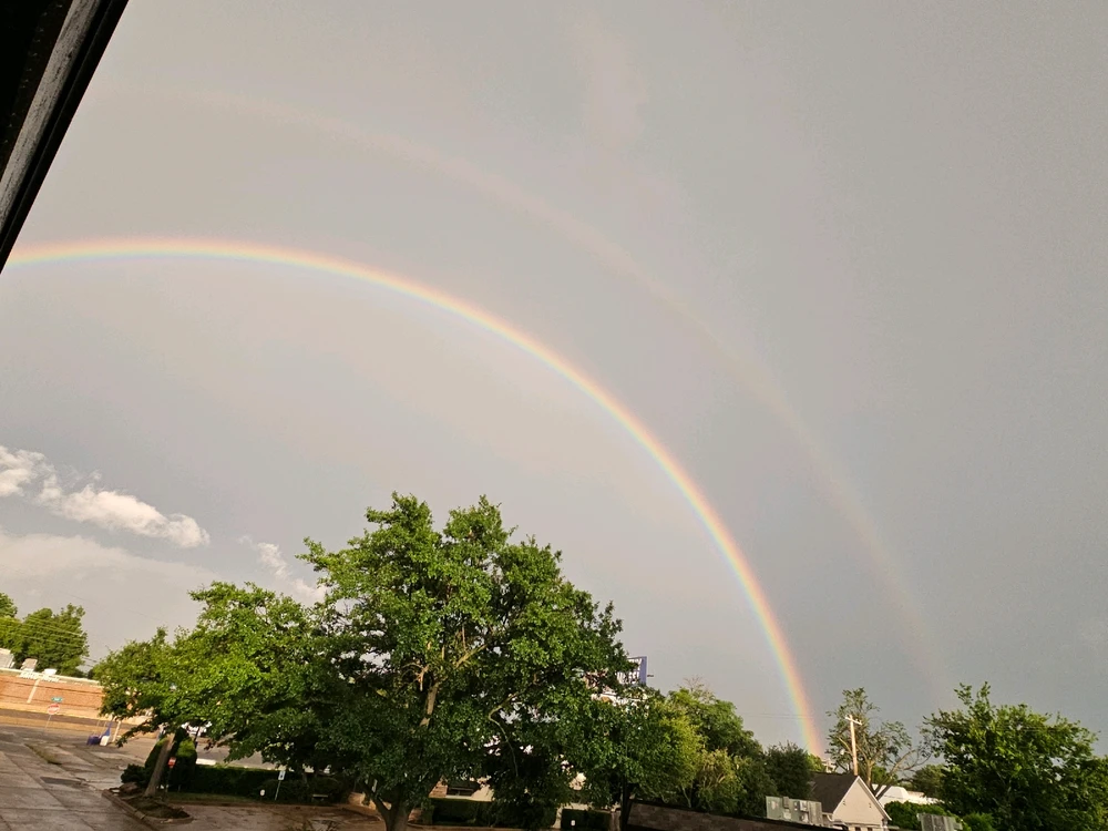 GIF uploaded by Spencer