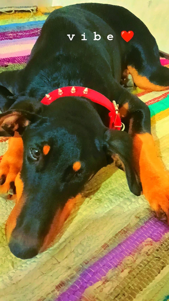 GIF uploaded by Aaditya