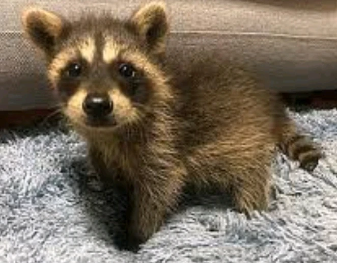 GIF uploaded by Gabe