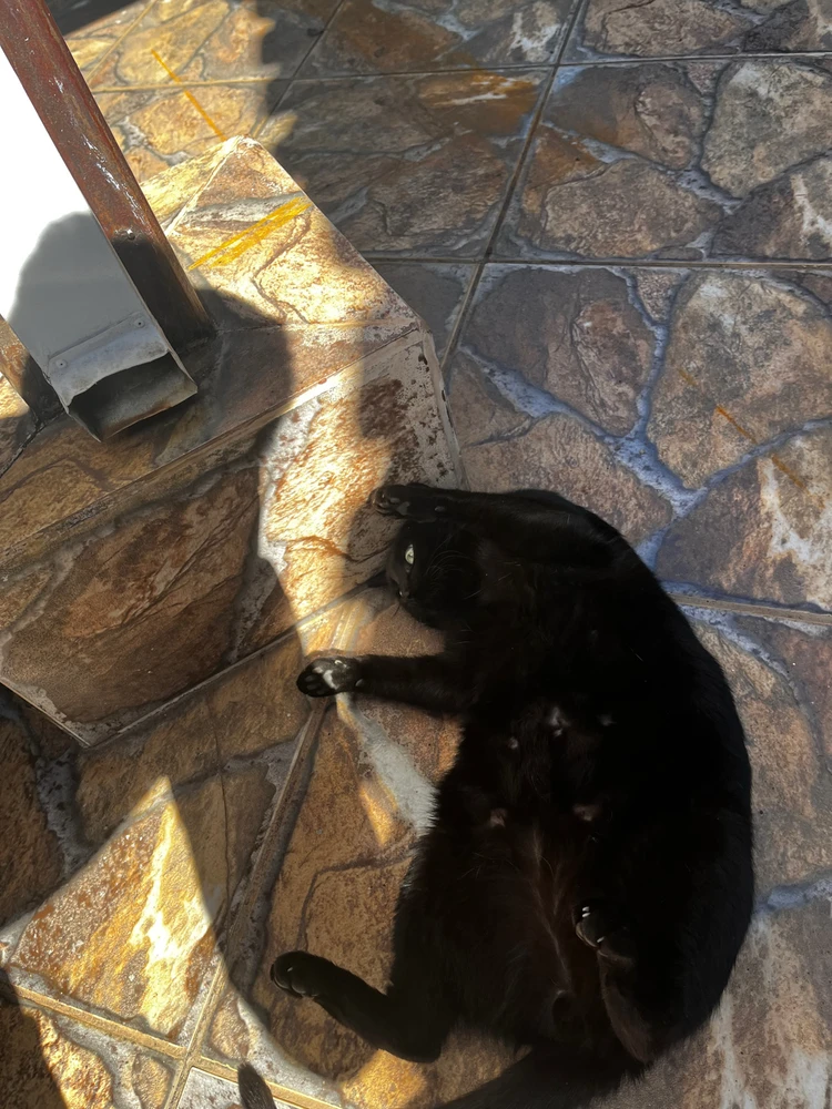 GIF enviado por Marcos