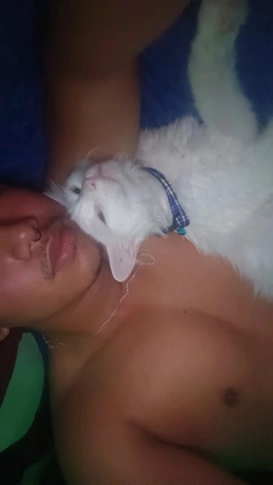 Imagen subida por Mariano