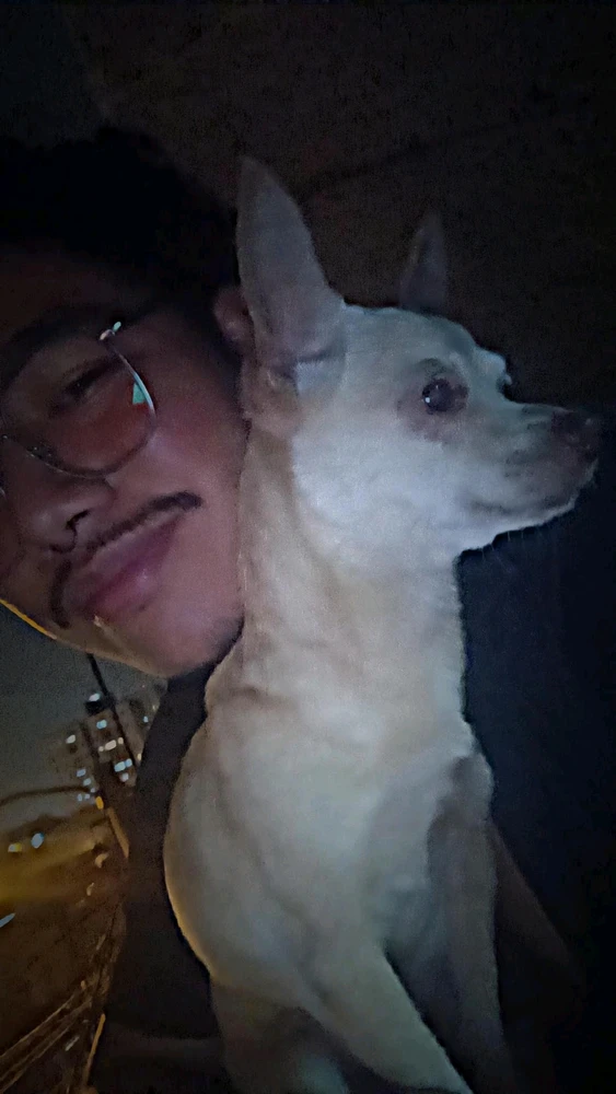 Imagen subida por Mariano