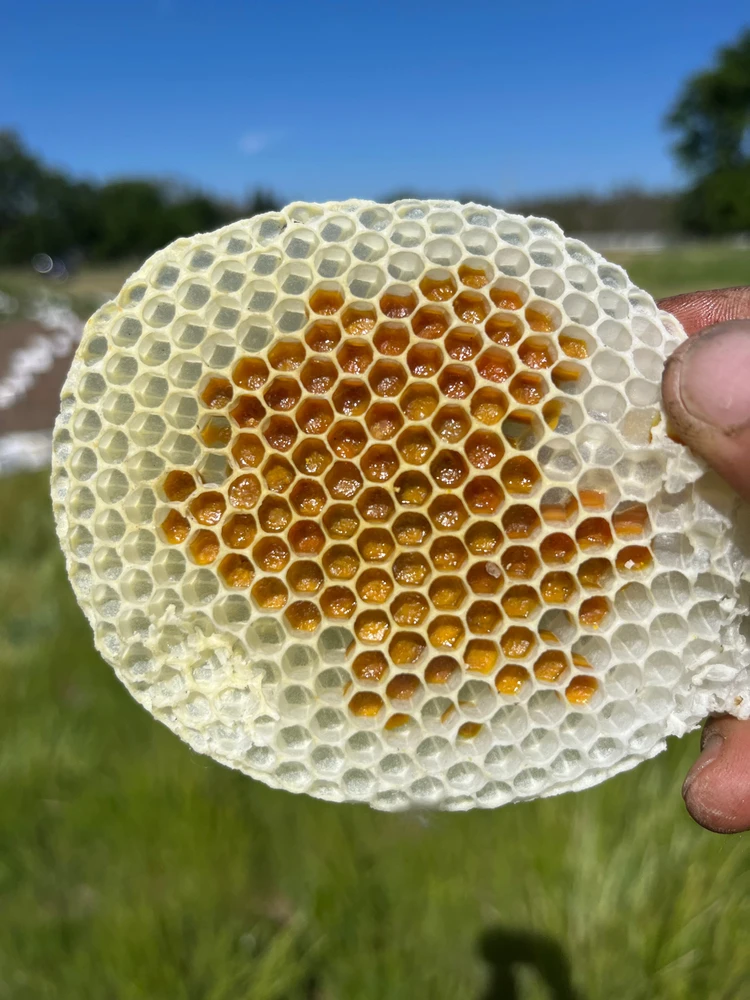 Image uploaded by Chris